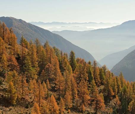 Livigno to live